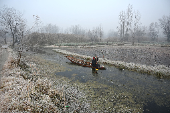 Kashmir Faces Intense Cold Wave with No Snowfall Expected
