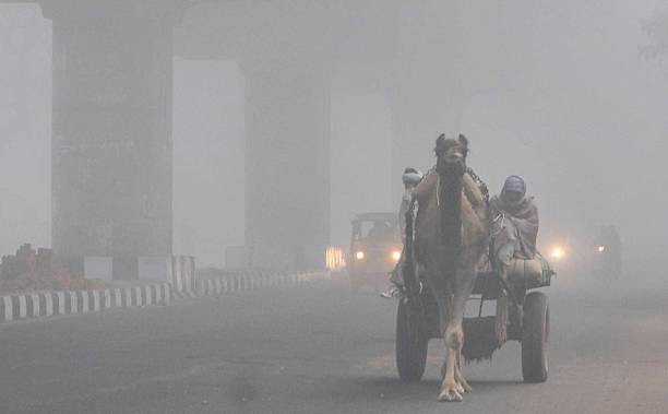 राजस्थान में बढ़ी ठंड, कई जिलों में शीतलहर के साथ हल्की बारिश का अनुमान
