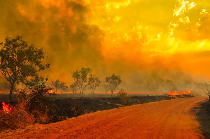 Bushfires rage in Australia’s southeast, authorities warn of ‘catastrophic’ Friday conditions
