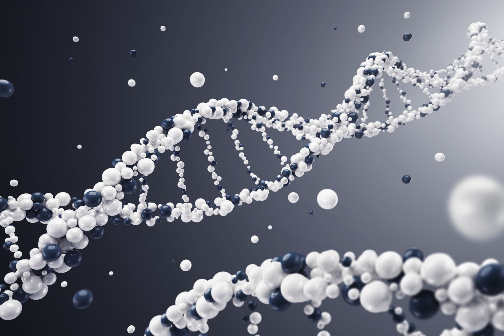 Study finds greater role for genetics in driving human lifespan