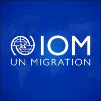 Fifty-three migrants dead or missing after boat capsizes off Libya, IOM says