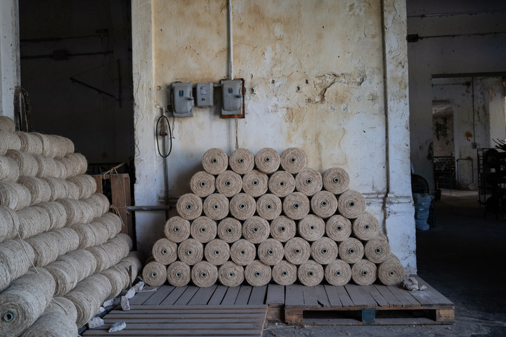 Cabinet approves Rs 275 hike in raw jute MSP for 2026-27
