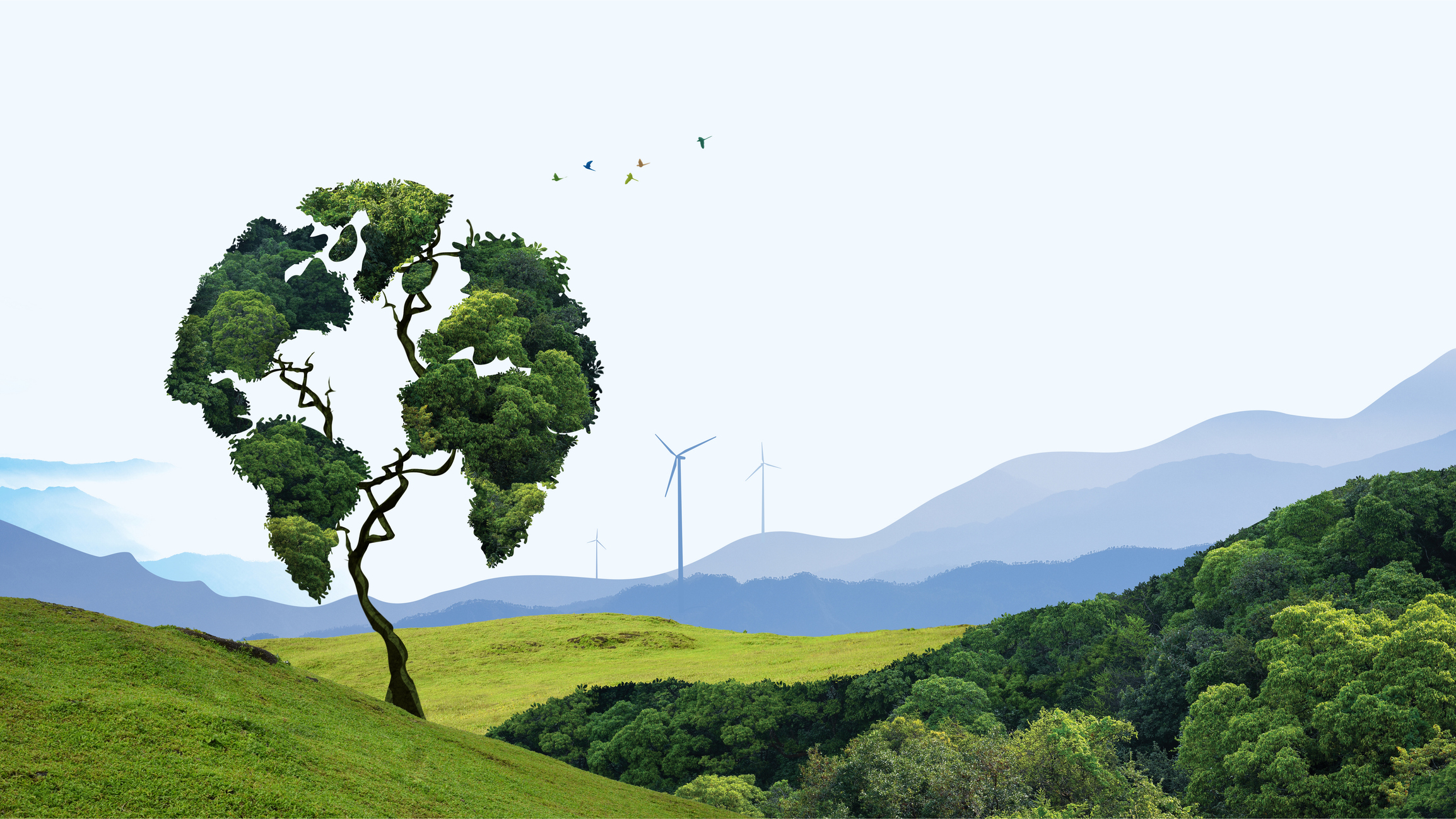 FM bets big on India’s green future: ₹20,000 crore boost for Carbon Capture Revolution