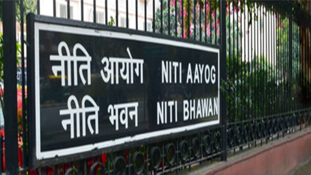 सफल स्टार्टअप तंत्र की अहम कड़ी हैं इनक्यूबेटर: नीति आयोग