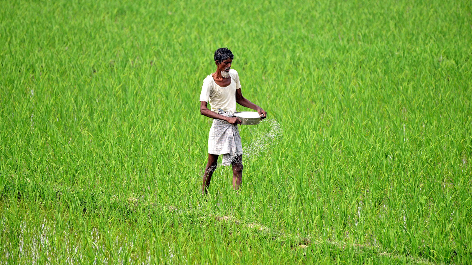 PM-KISAN scheme becomes economic lifeline for small farmers in MP