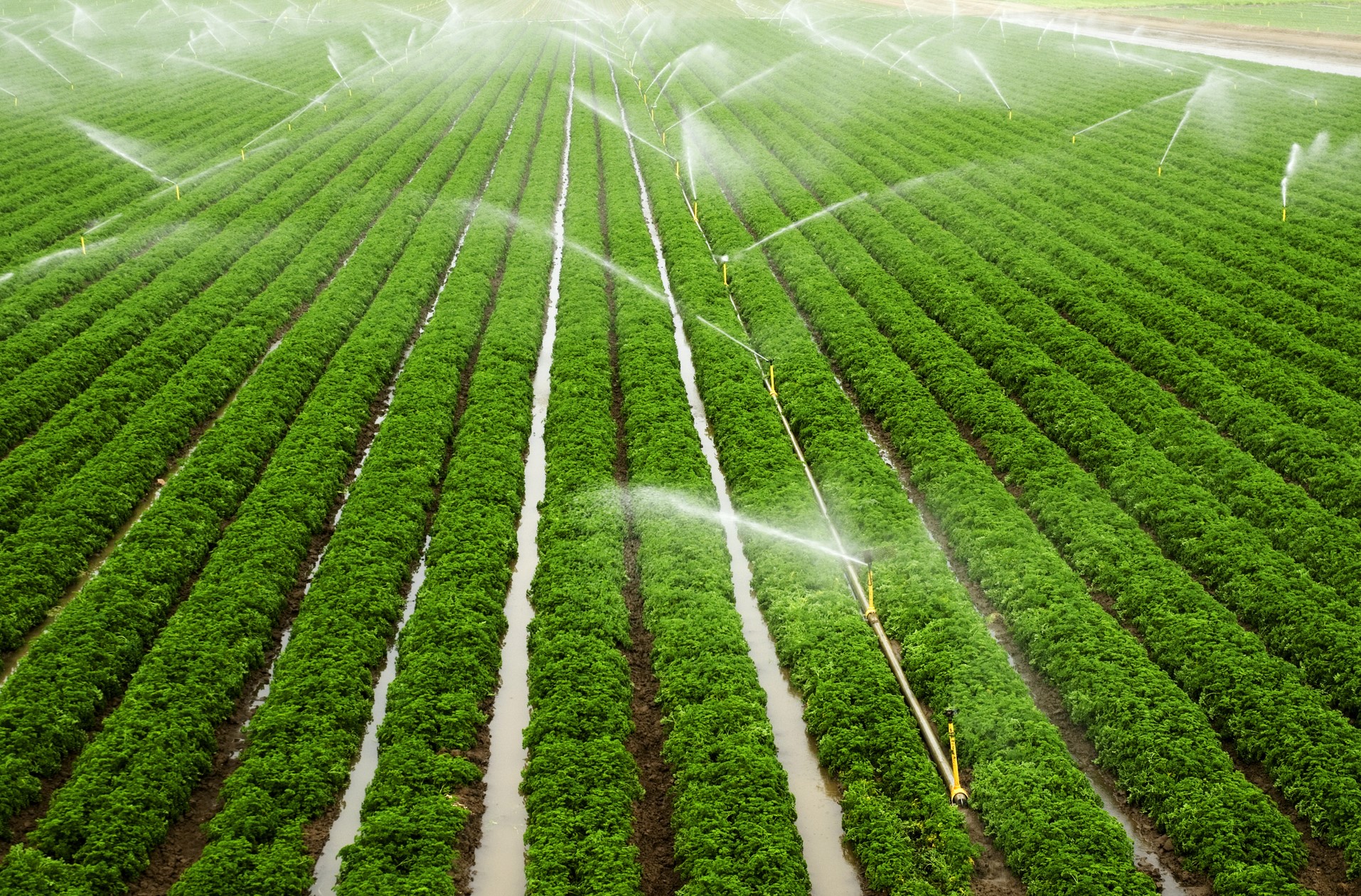 Haryana clears Rs 402cr solar-powered micro irrigation projects across 4 districts