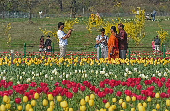 Fresh snowfall and Tulip Garden developments boost Kashmir’s tourism