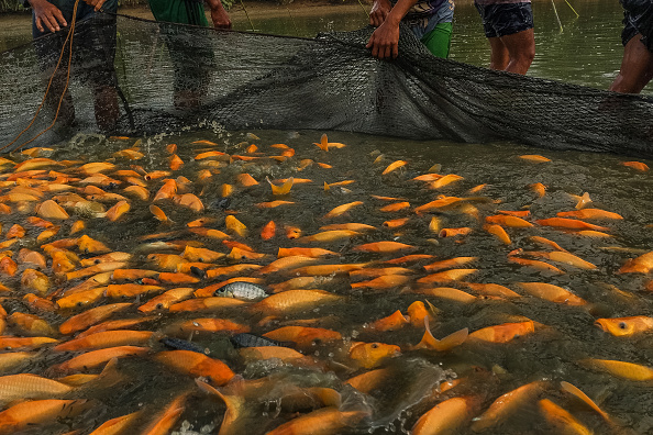 GPS devices boost fishing yields, nutrition in Car Nicobar: Ministry