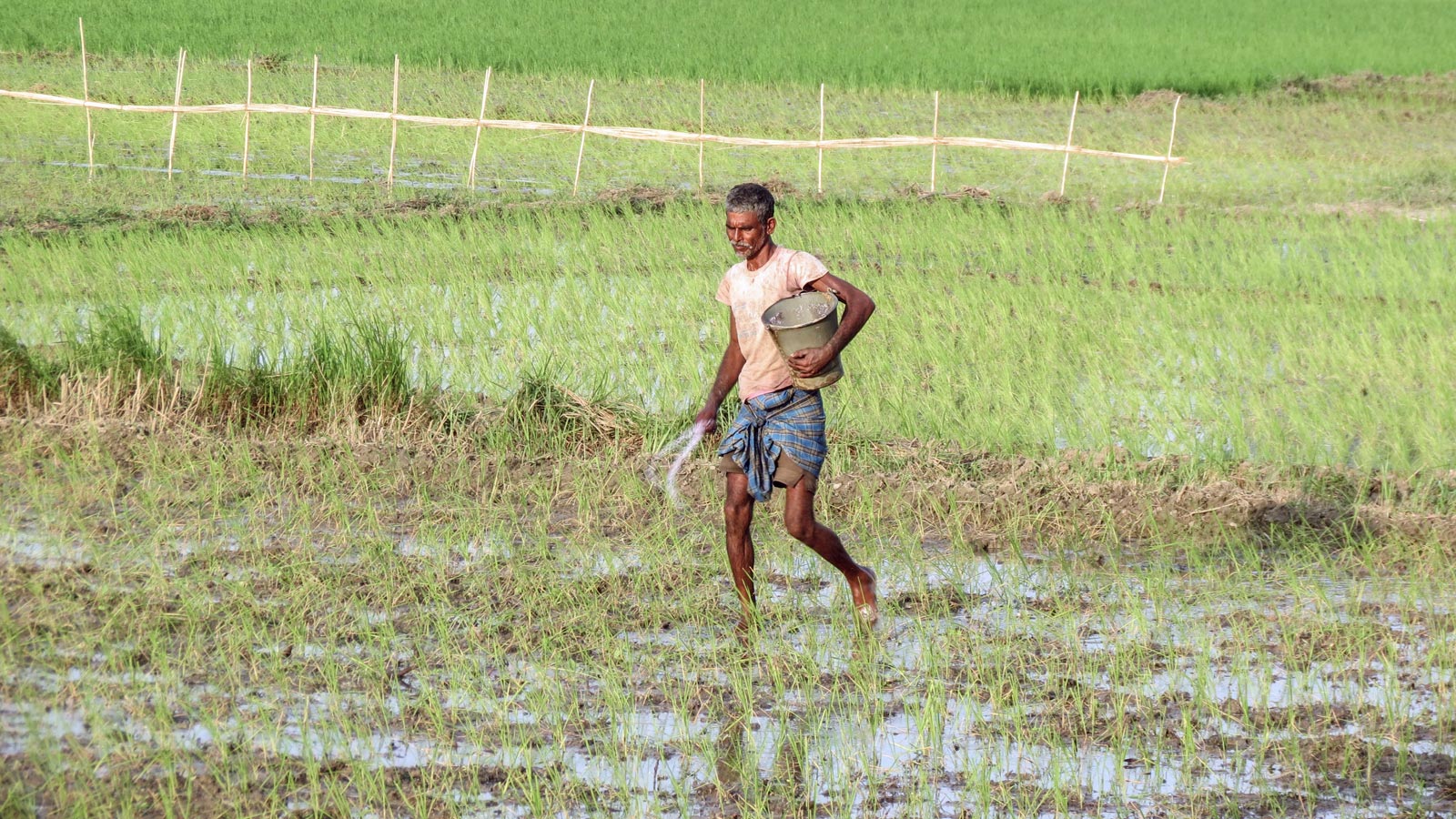 Fertilizer imports rise to meet demand; government ensures adequate supply across country