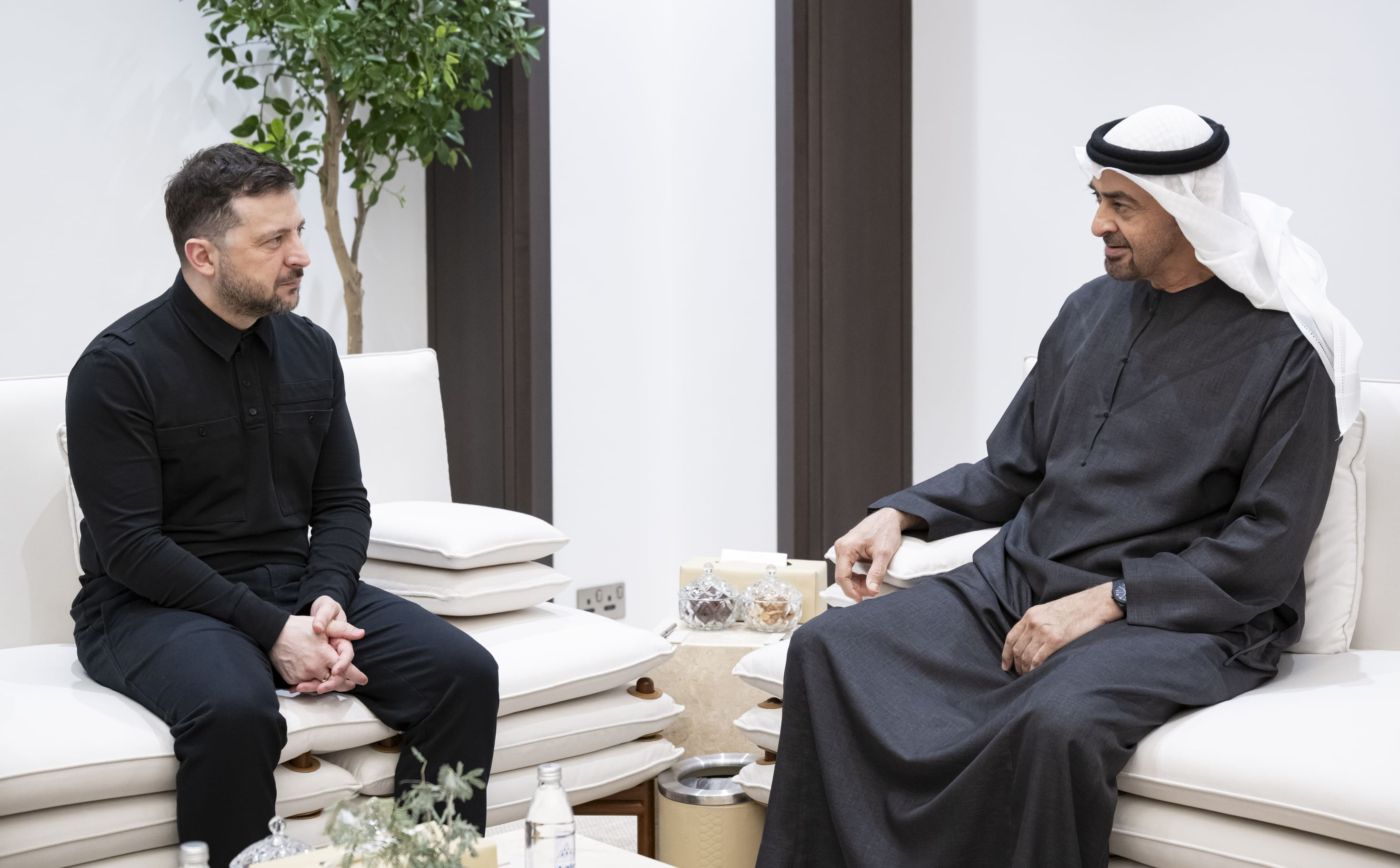 UAE president, Ukrainian leader discuss regional security and economic ties