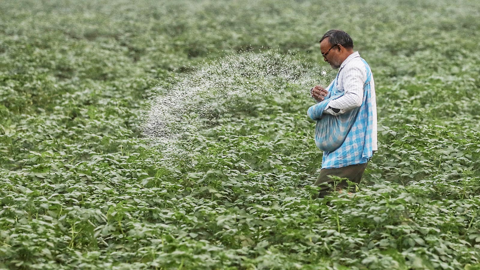 Government boosts fertilizer availability ahead of Kharif 2026; urea output rises 23%