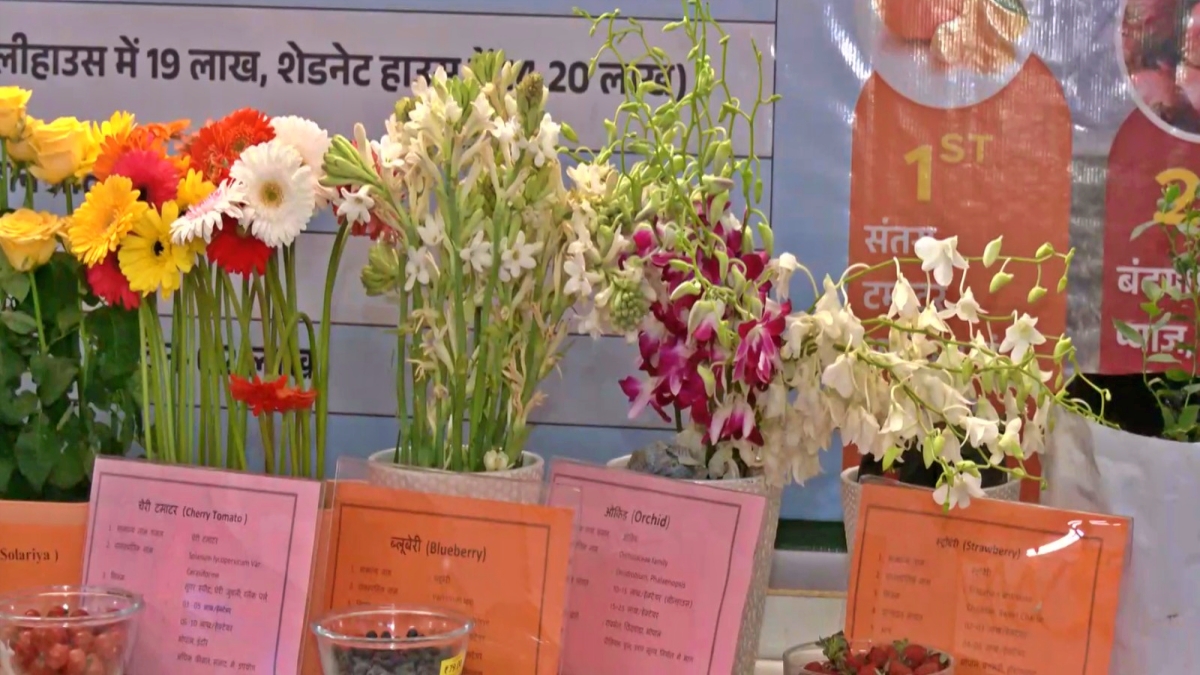 रायसेन कृषि महोत्सव में ‘स्मार्ट खेती’ पर जोर, ड्रैगन फ्रूट और ड्रिप सिंचाई को बढ़ावा