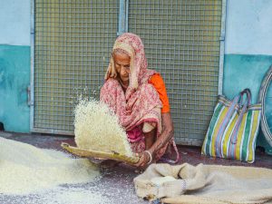 APEDA Signs 70-Year Lease for Basmati, Organic Training Centre in Pilibhit