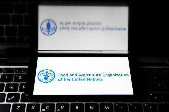 World food prices rose in March as Iran war lifted energy costs, FAO says