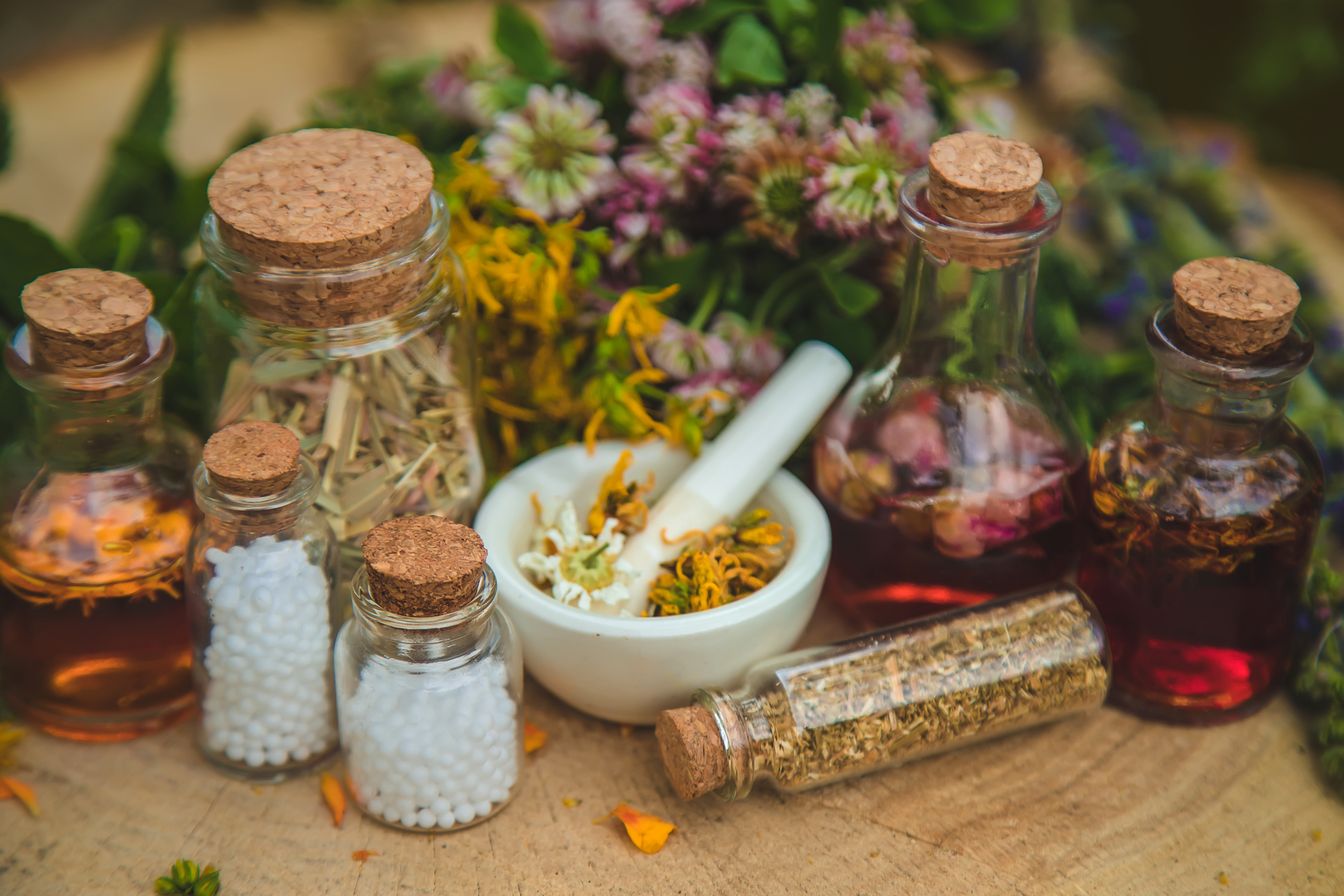 Prataprao Jadhav to Inaugurate World Homoeopathy Day 2026 Event