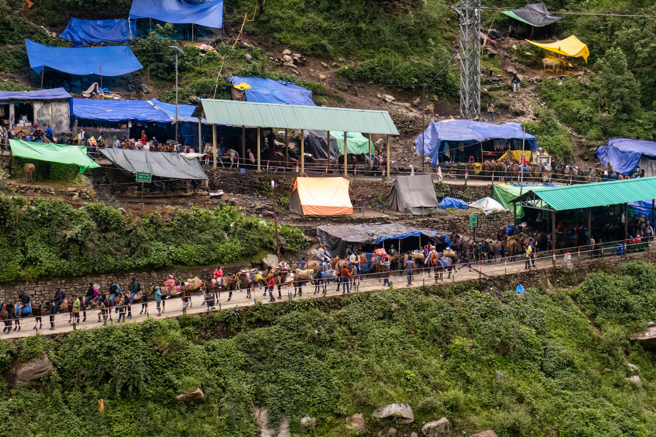 Security stepped up on Kedarnath route; ‘Op Kalanemi’ cracks down on suspicious elements