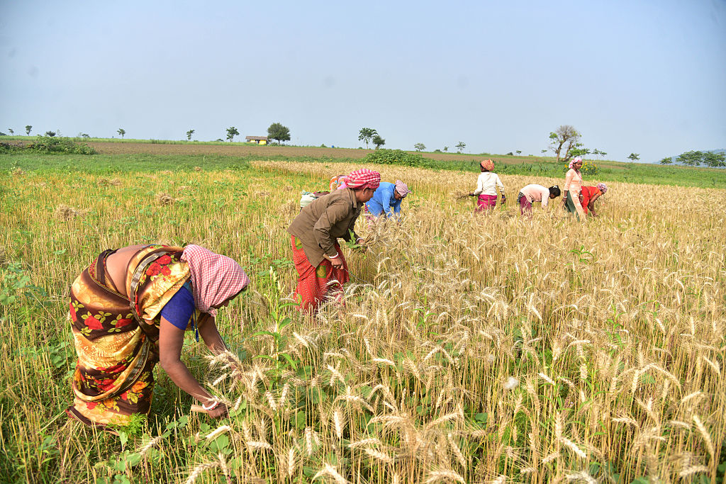 ICAR-IIOR Unveils Smart Seed Coating Technology to Boost Crop Yields and Climate Resilience
