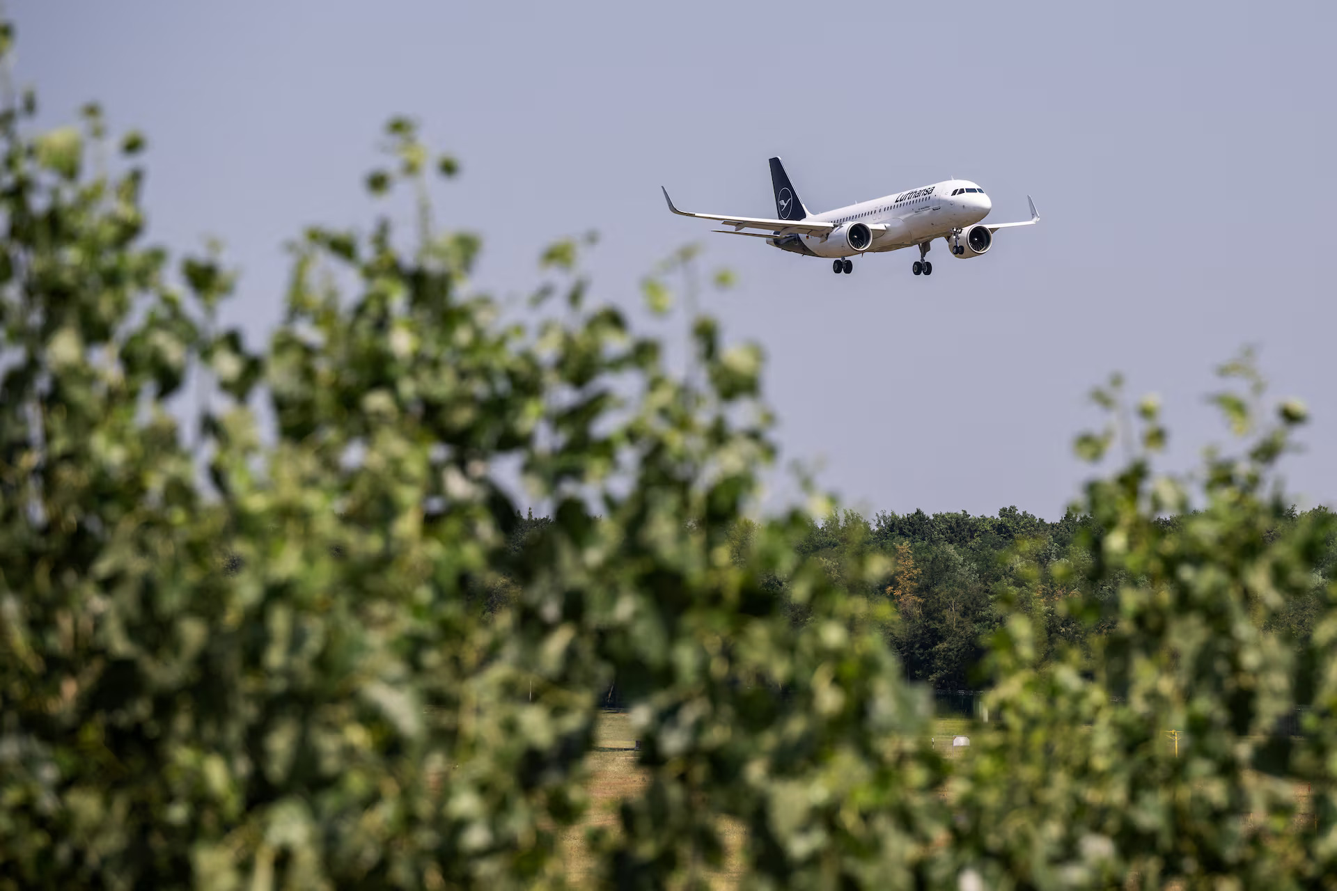 From paint to flights, Iran war lifts costs, darkens outlooks