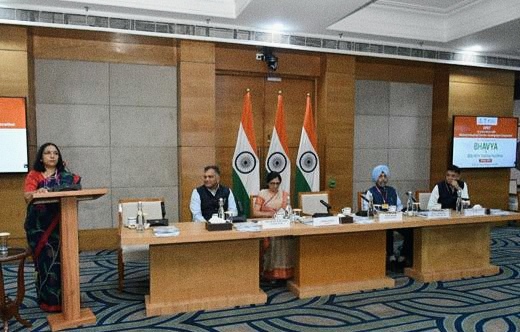 एनआईसीडीसी की कार्यशाला में भव्य योजना के प्रभावी क्रियान्वयन पर विस्तृत मंथन
