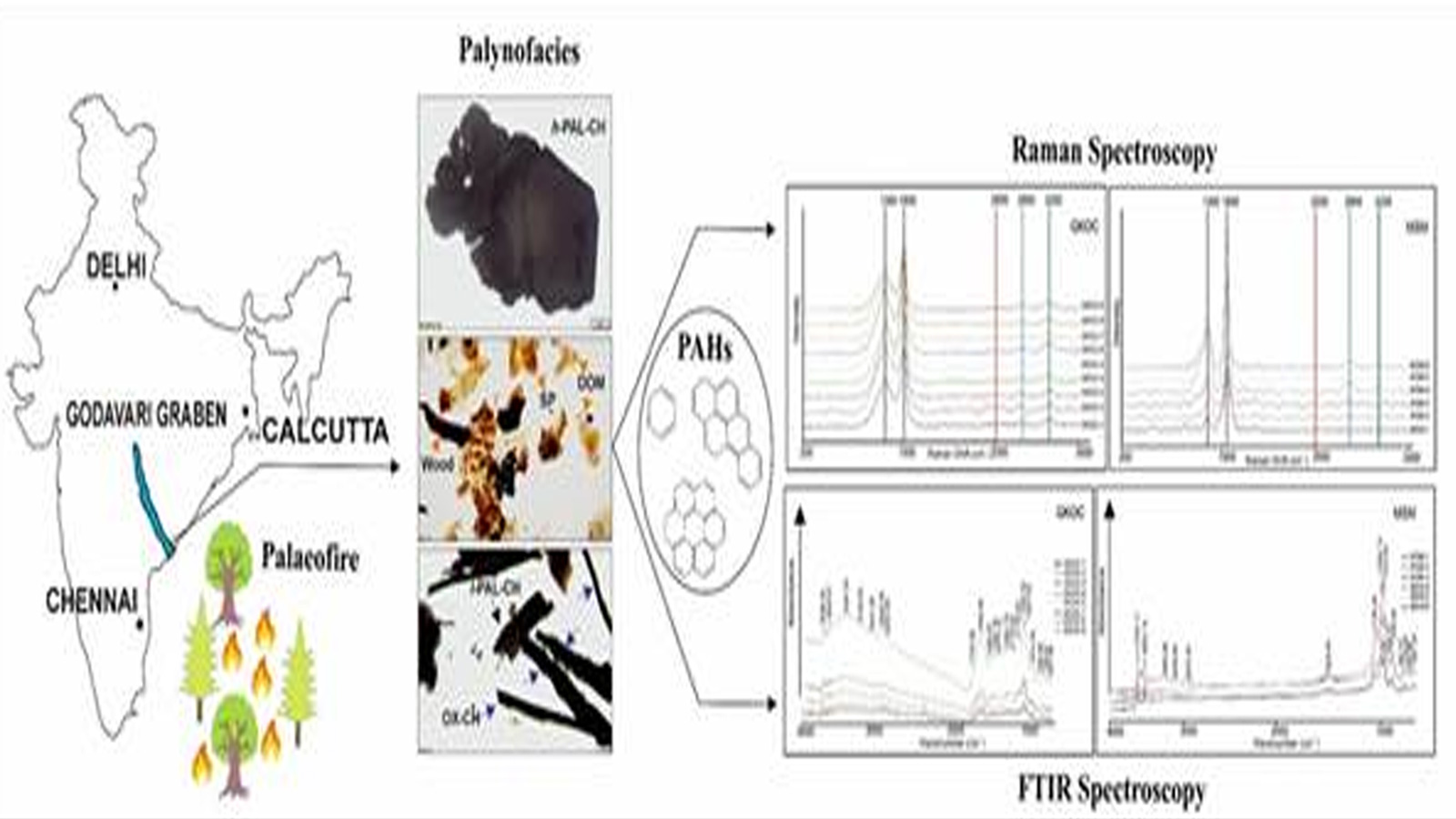 Ancient wildfires in Gondwana forests shaped Earth’s climate, Indian study finds