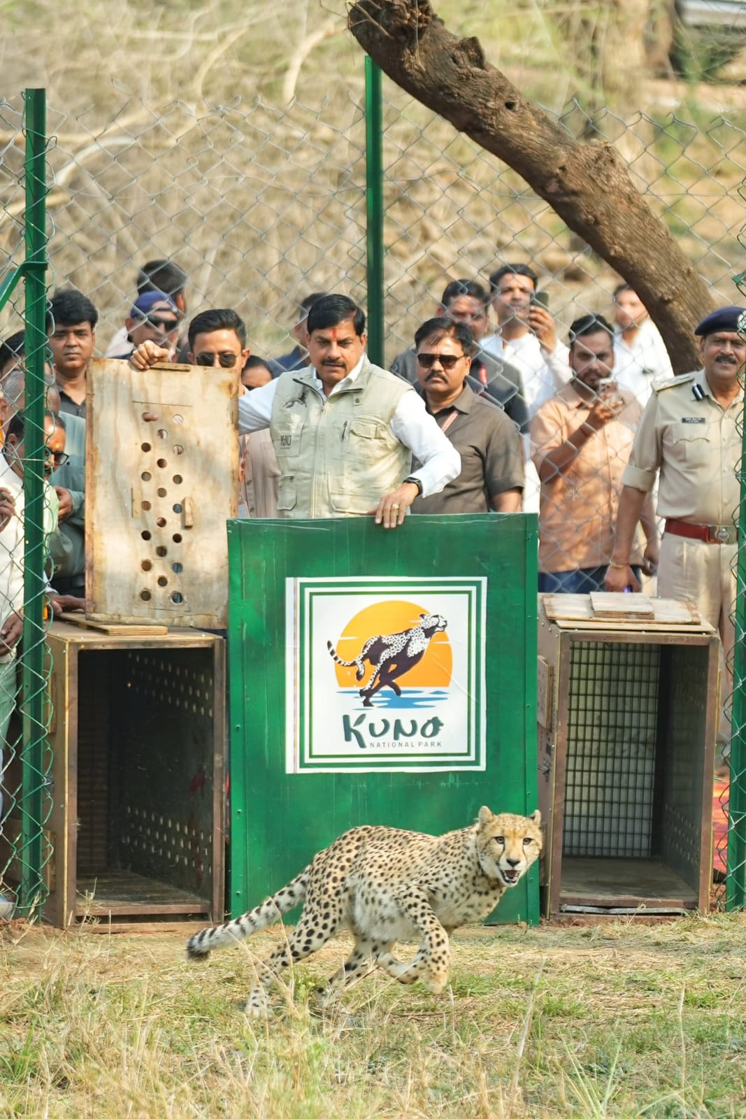 MP CM releases two Botswana cheetahs into open forest at Kuno
