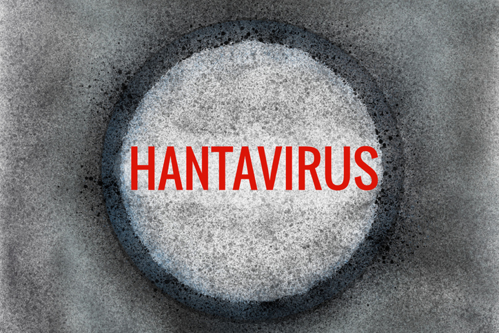 Two suspected hantavirus cases found in Spain, remote Tristan da Cunha