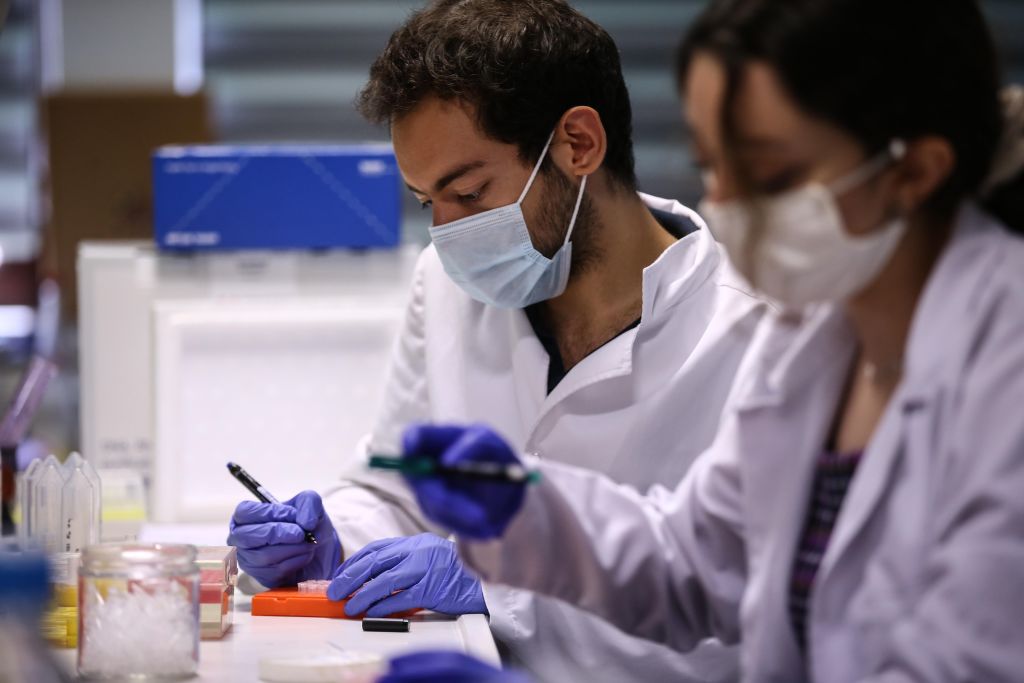 Scientists Discover Hidden Molecular Switch That Could Strengthen Bones