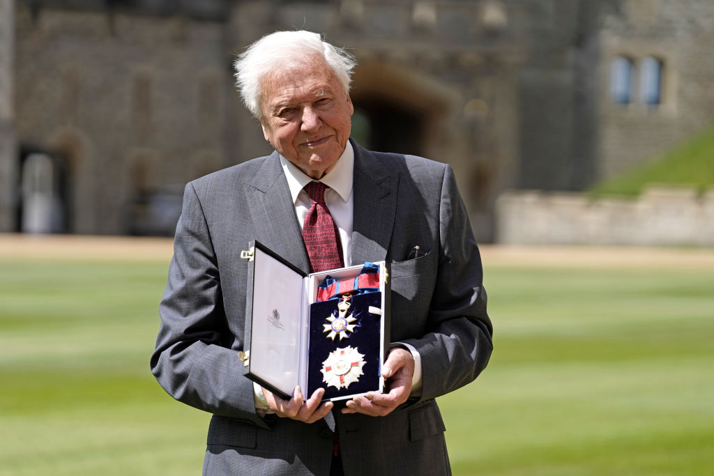 “Deeply touched”: David Attenborough responds to centenary greetings