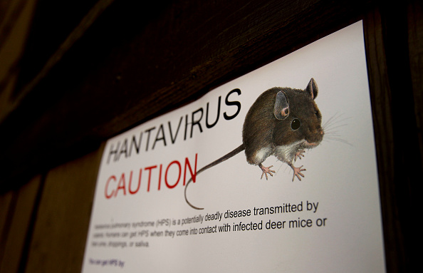 What is the hantavirus that killed three cruise ship passengers?