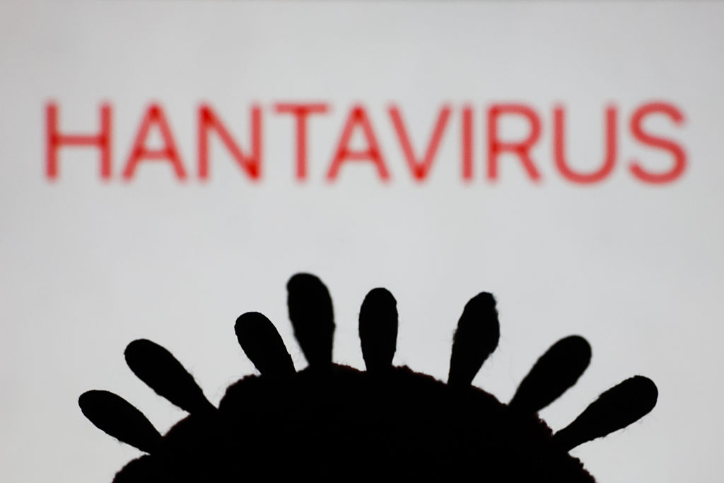 Inside an African lab that helped crack the hantavirus outbreak