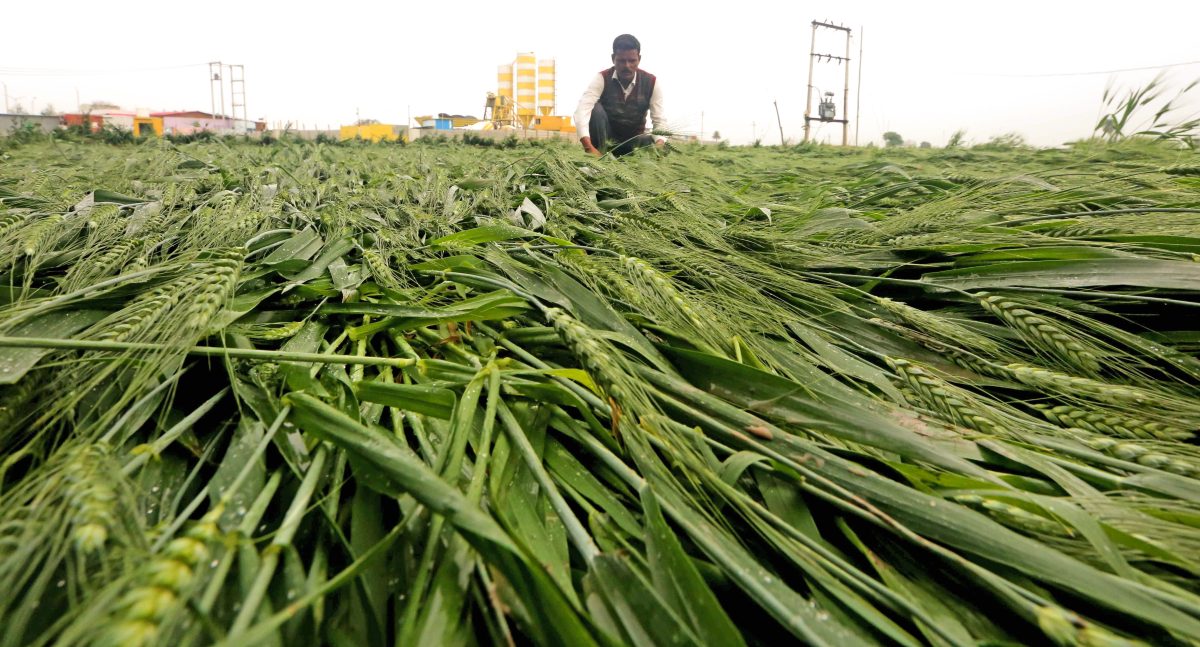 12 years of Modi govt: Record fertilizer output strengthens India’s farm security