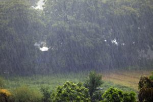 Thunderstorm, rain alert in 25 Rajasthan districts today, heatwave likely to return from June 8