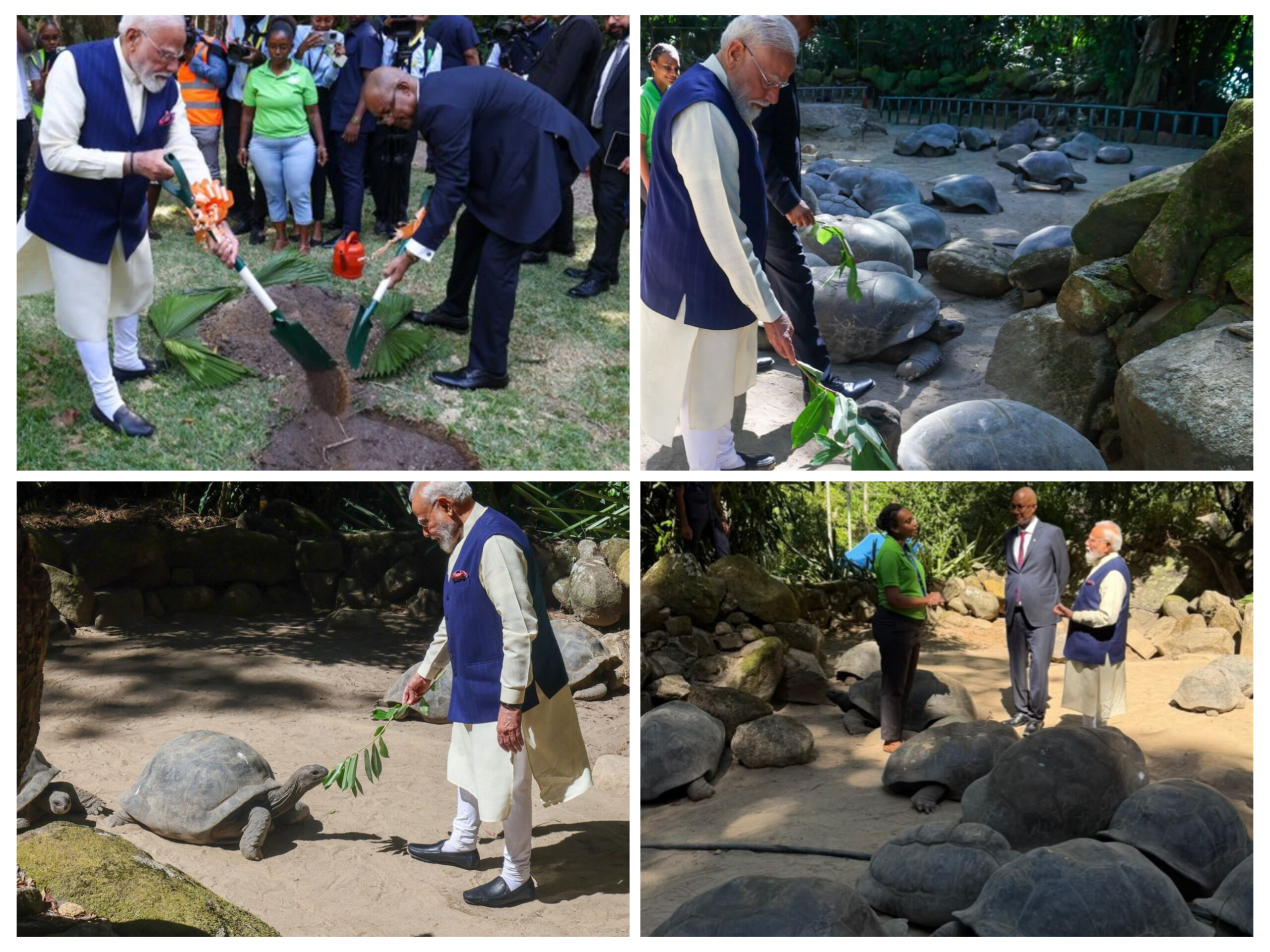 PM Modi visits Seychelles National Botanical Garden, meets world’s oldest living land animal