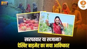 Good News | खरपतवार या खजाना? देखिए बाड़मेर का नया आविष्कार | Natural Fiber | Textile Innovation
