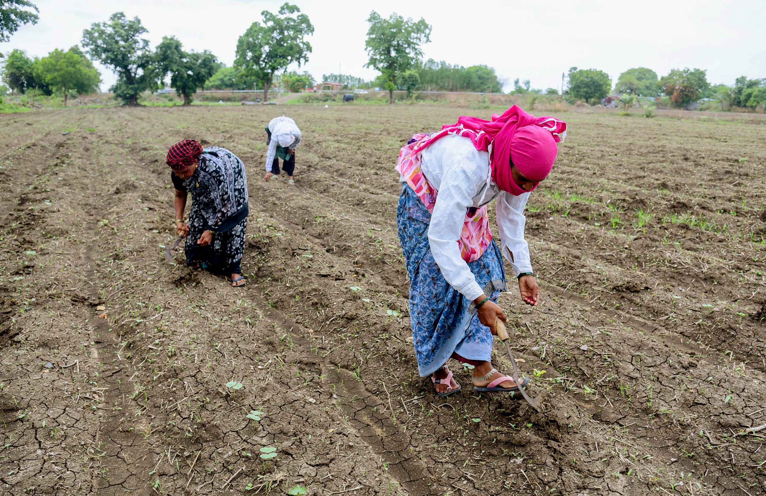 PMO reviews El Nino preparedness, directs ministries to closely monitor impact on agriculture and economy
