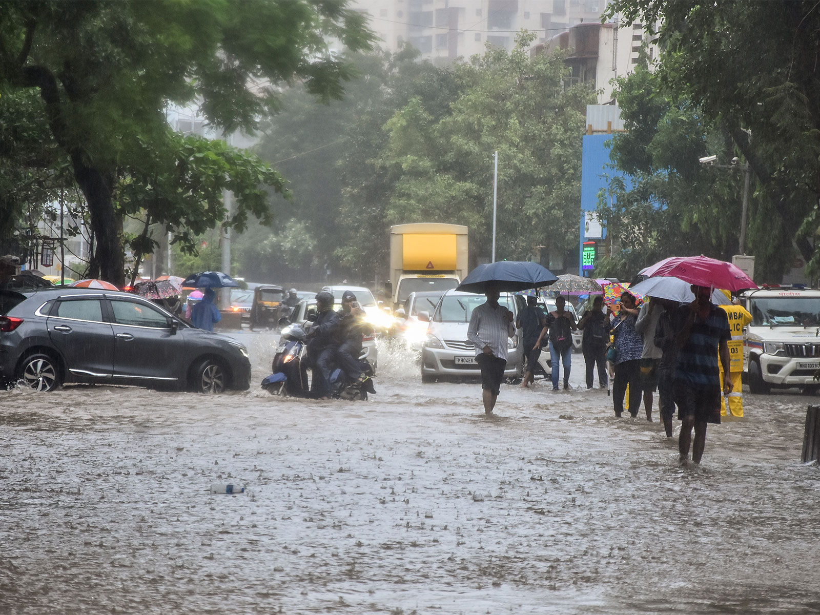 मुंबई में भारी बारिश के बीच बीएमसी का अलर्ट, लेप्टोस्पायरोसिस से बचाव की एडवाइजरी जारी