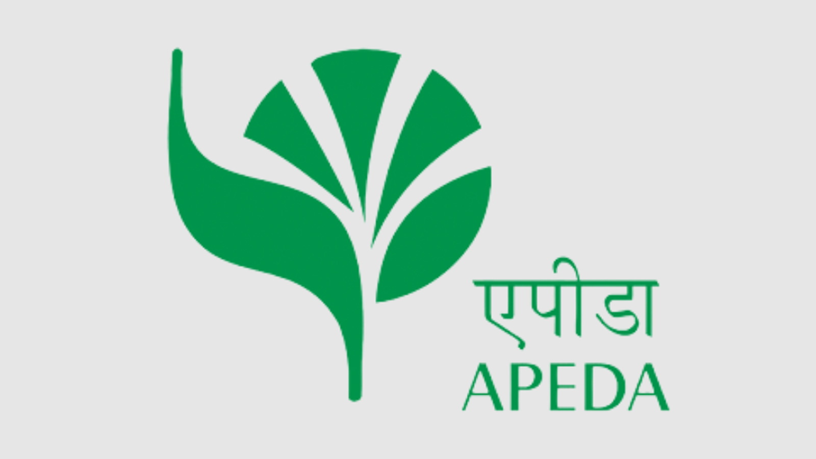 APEDA facilitates first export of frozen French fries from Uttarakhand to Iraq