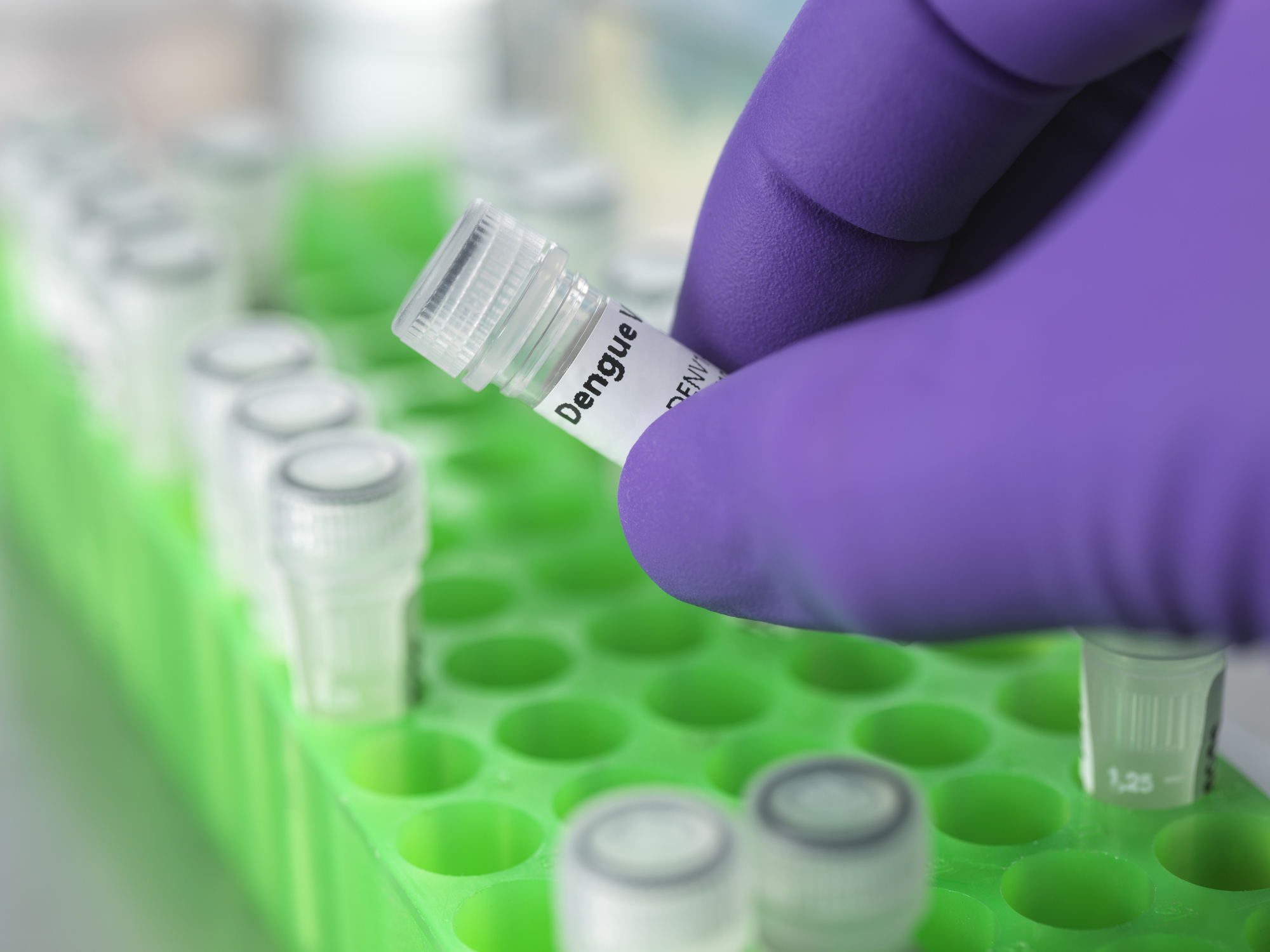 India Gets Its First Approved Dengue Vaccine; Qdenga Cleared for Individuals Aged 4–60