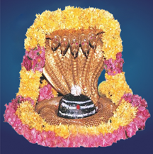 सावन में विशेष: मल्लिकार्जुन ज्योतिर्लिंग, 12 ज्योतिर्लिंगों में दूसरा और माता पार्वती के शक्तिपीठों में एक
