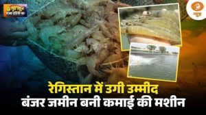 Good News | रेगिस्तान में उगी उम्मीद, बंजर जमीन बनी कमाई की मशीन | Rajasthan Shrimp Farming