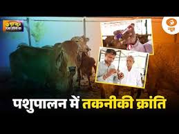 Good News | पशुपालन में तकनीकी क्रांति: 28 से 35 दिन में गर्भावस्था की पहचान