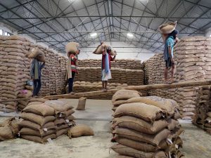 BIRC सर्वे: खाड़ी की अस्थिरता के बीच विदेशी चावल खरीदार अब सीधे भारत का कर रहे रुख 