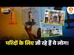 Good News I कुचामन में पक्षियों के लिए अनोखी पहल | Bird Feeder से बेजुबानों की सेवा