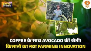 YouTube से सीखी Avocado Farming, अब 4 टन उत्पादन | किसान की प्रेरक कहानी | Good News India