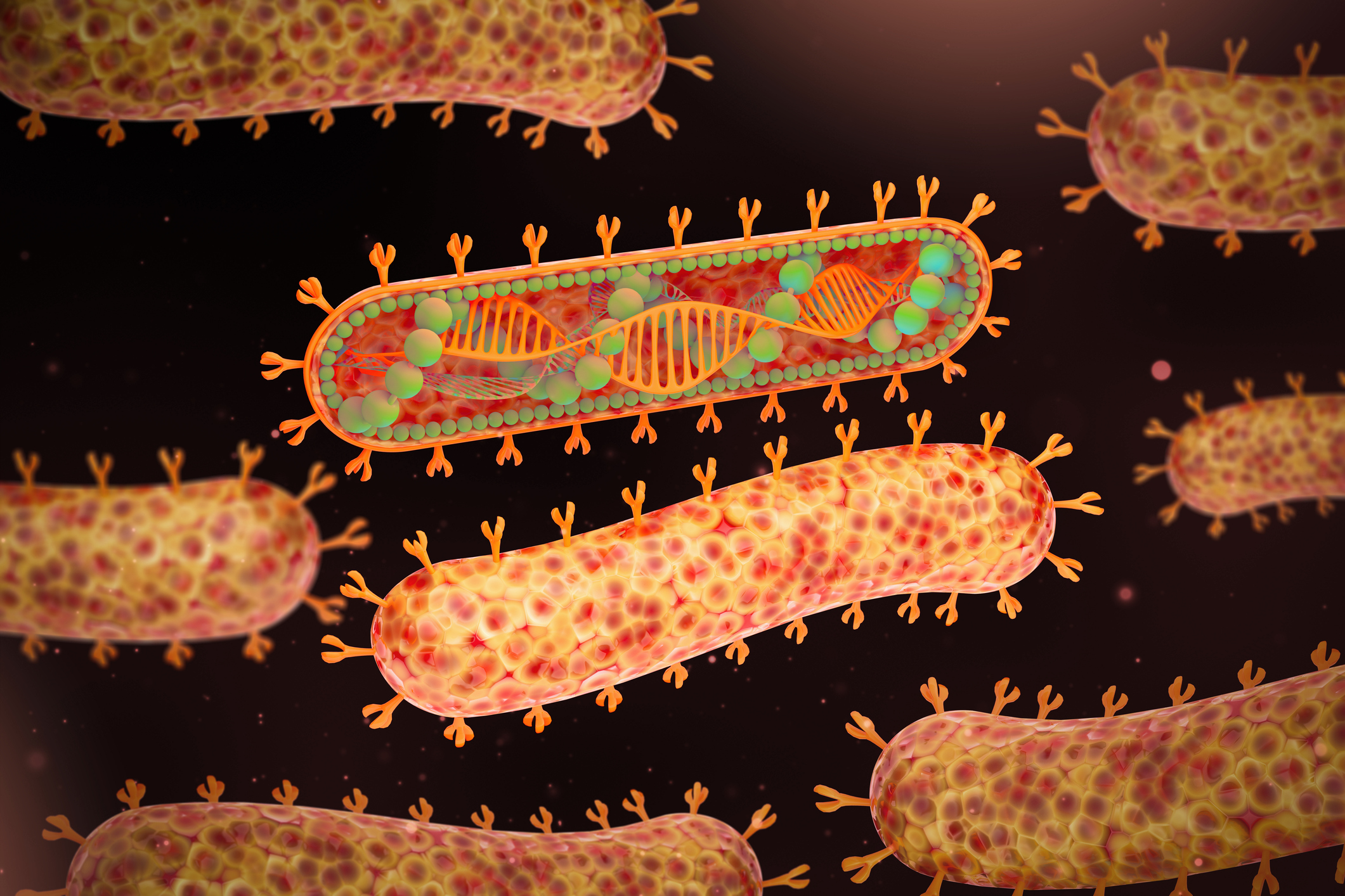 Virology research must translate into technologies and preparedness: MVM 2026
