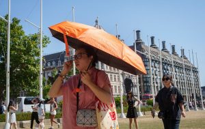 August was world’s joint-hottest month on record, scientists say