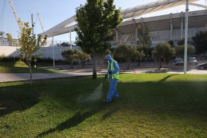 West Nile virus infections cause three deaths in the Netherlands
