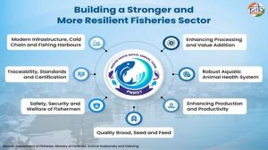 Fueling the Blue Economy: Six years of PMMSY transforming India’s fisheries sector