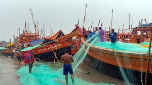 मछुआरों को अधिक मूल्य वाली मछली प्रजातियों के दोहन के लिए प्रोत्साहित करेगी केंद्र सरकार