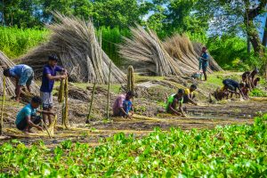 PM Dhan-Dhaanya Krishi Yojana completes one year, focuses on agricltural growth in 100 districts